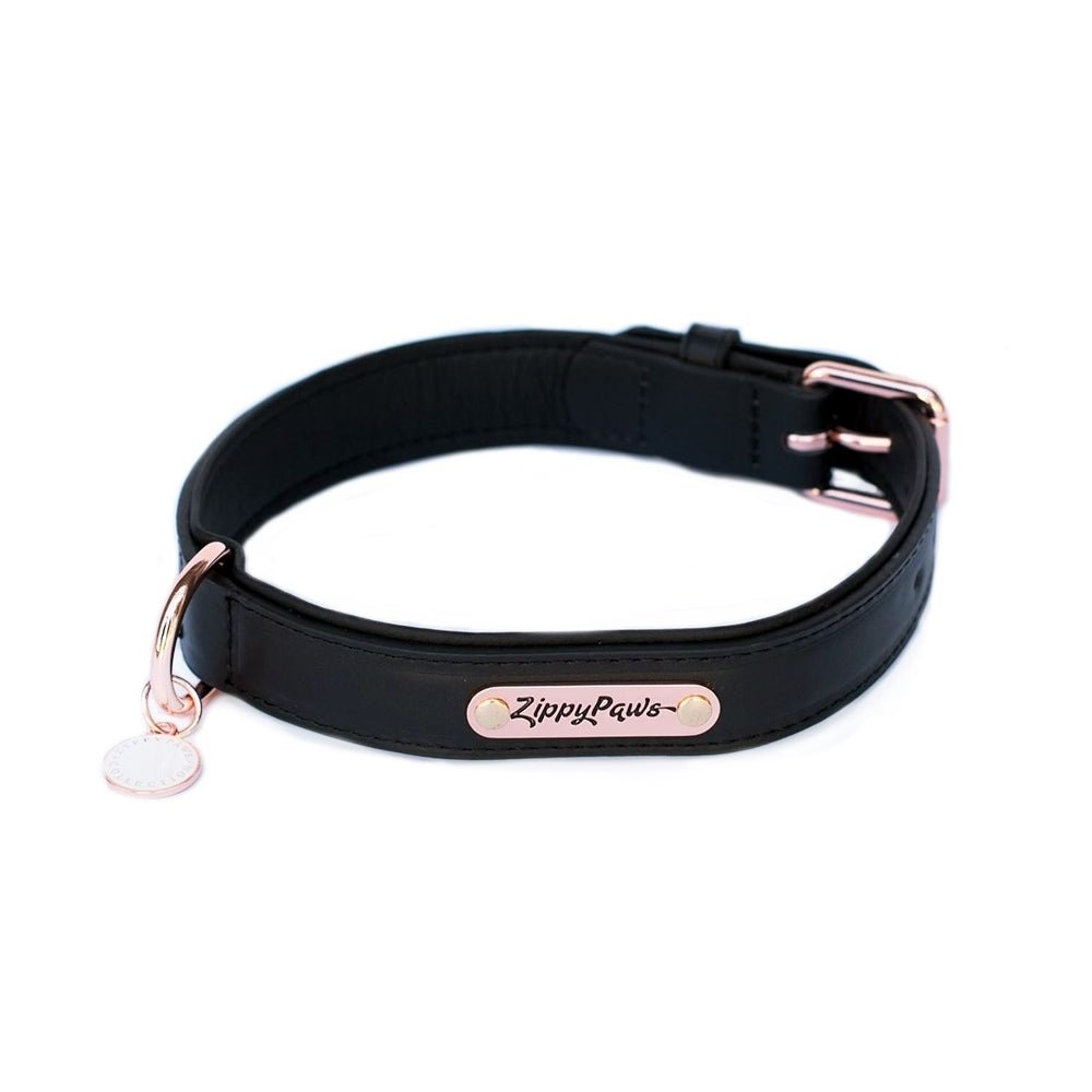 Zippy Paws Leather Dog Collar with Rose Gold Buckle - Small - Black