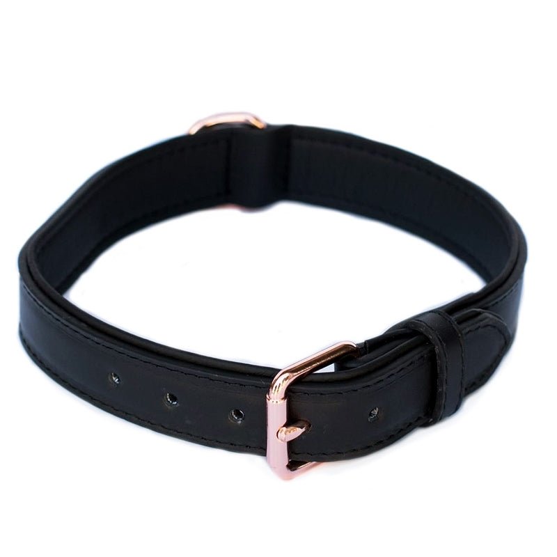 Zippy Paws Leather Dog Collar with Rose Gold Buckle - Small - Black