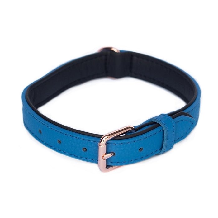 Zippy Paws Leather Dog Collar with Rose Gold Buckle - Cobalt - XLarge