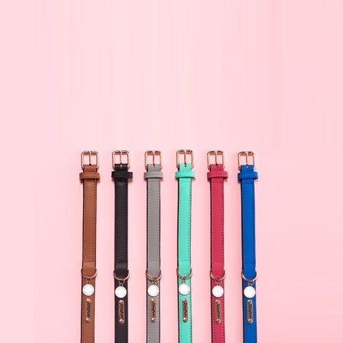 Zippy Paws Leather Dog Collar with Rose Gold Buckle - Teal - Large