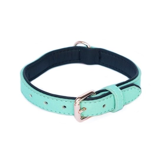 Zippy Paws Leather Dog Collar with Rose Gold Buckle - Teal - Large