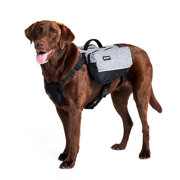 Zippy Paws Dog Backpack - Graphite Grey - Small