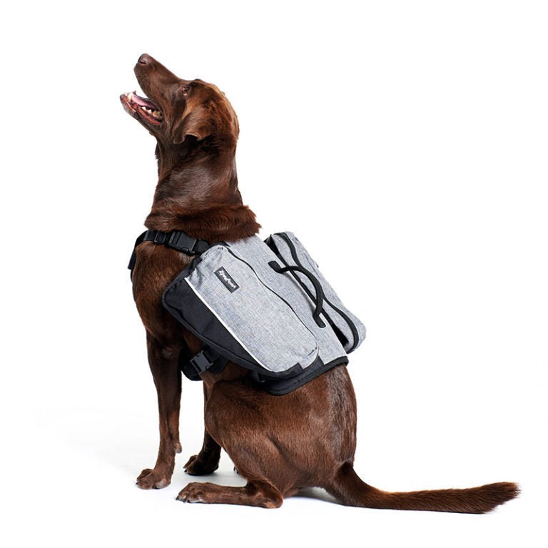 Zippy Paws Dog Backpack - Graphite Grey - Small