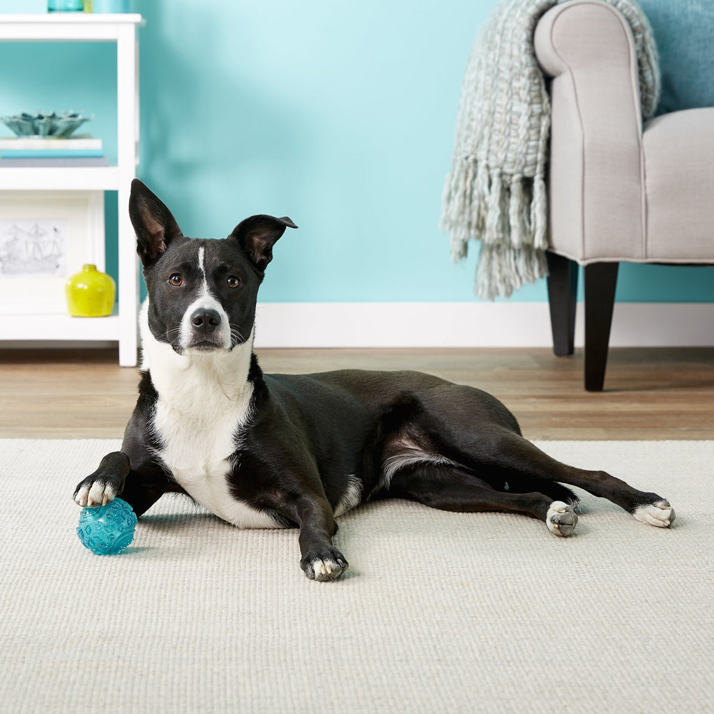 Zippy Paws ZippyTuff Textured Rubber Squeaker Ball Dog Toy - Teal - Large