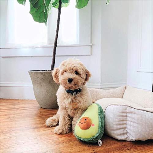 Zippy Paws NomNomz Squeaker Dog Toy - Jumbo Avocado