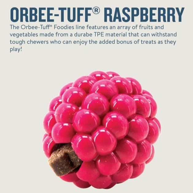 Planet Dog Orbee-Tuff Raspberry Treat-Dispensing Dog Chew Toy