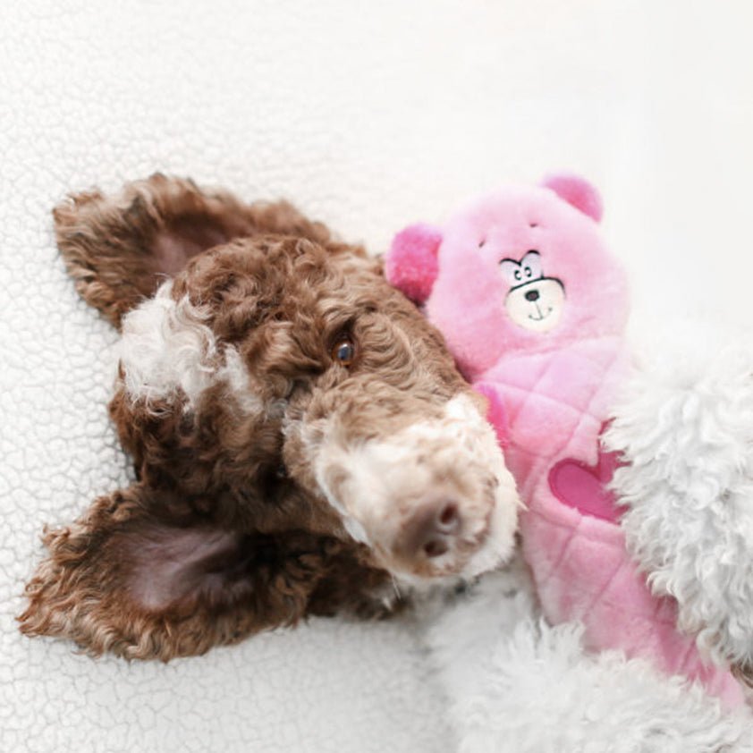 Zippy Paws Jigglerz Shakeable Dog Toy - Pink Bear