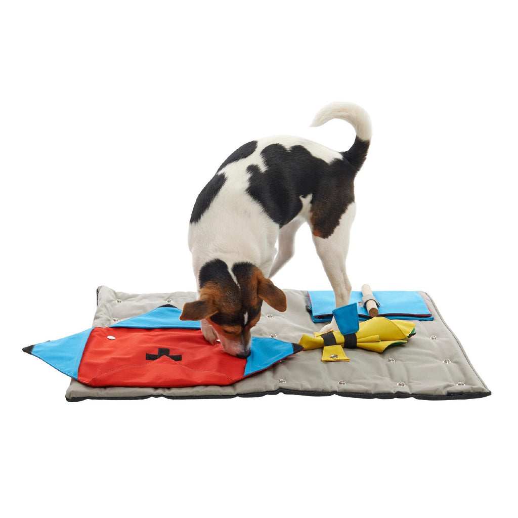 Buster Canvas Activity Snuffle Mat Starter Kit