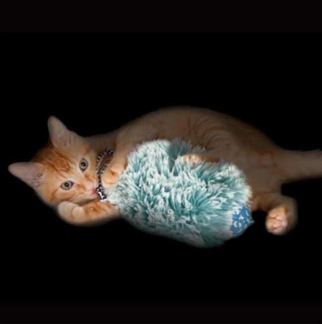 Petstages Nighttime Cuddle Toy