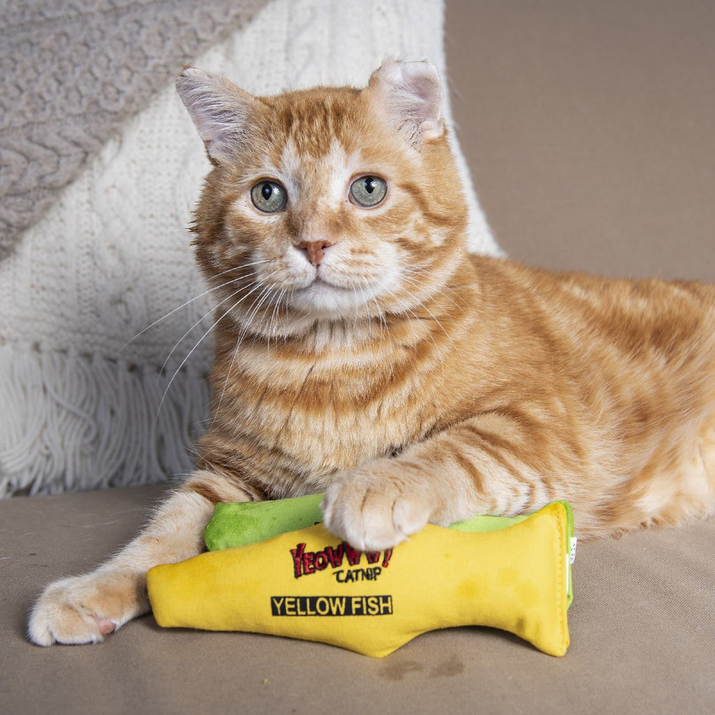Yeowww! Cat Toys with Pure American Catnip - Fish - Assorted Colours