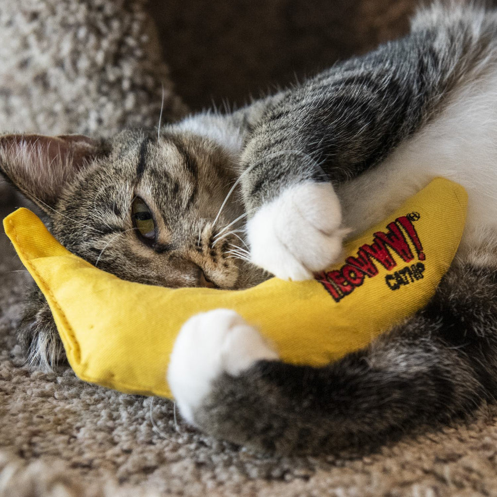 Yeowww! Cat Toys with Pure American Catnip - Banana