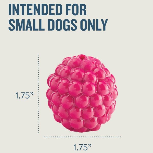Planet Dog Orbee-Tuff Raspberry Treat-Dispensing Dog Chew Toy