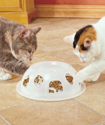 Pioneer Pet Tiger Diner Interactive Slow Cat Bowl - White