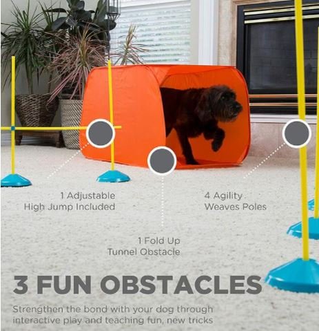 Outward Hound Zip & Zoom Indoor Dog Agility Training Kit