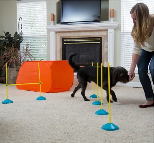 Outward Hound Zip & Zoom Indoor Dog Agility Training Kit