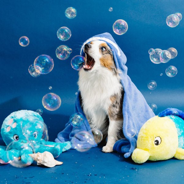 Zippy Paws Grunterz Squeaker Dog Toy - Finn the Fish