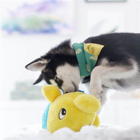 Zippy Paws Grunterz Squeaker Dog Toy - Finn the Fish