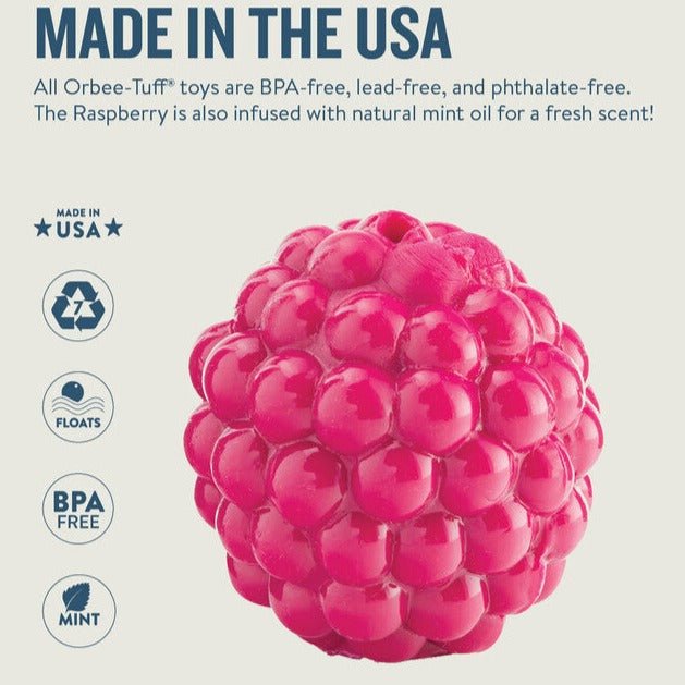 Planet Dog Orbee-Tuff Raspberry Treat-Dispensing Dog Chew Toy