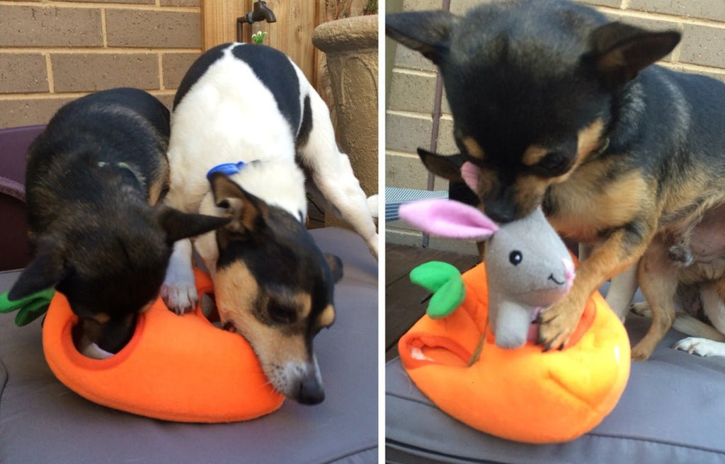 Zippy Paws Interactive Burrow Dog Toy - Bunny 'n Carrot