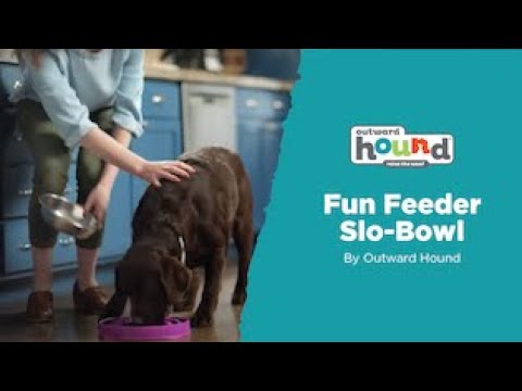 Outward Hound Teal Drop Fun Feeder Interactive Dog Bowl - Pet