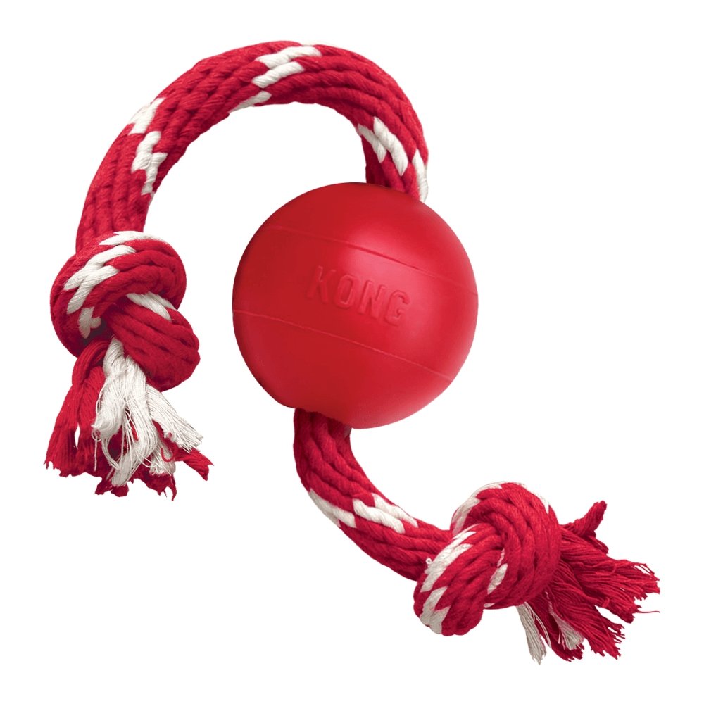 KONG Ball With Rope - 3 Units