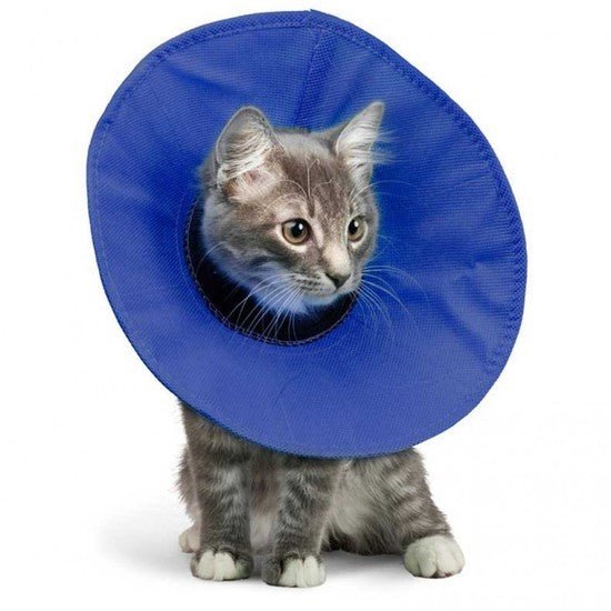 KONG EZ Soft Elizabethan Medical Collar