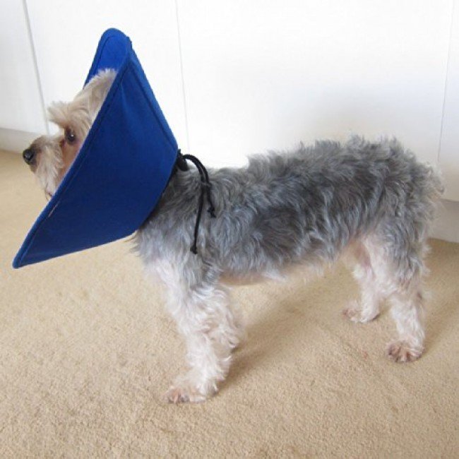KONG EZ Soft Elizabethan Medical Collar Discount Pet Supplies
