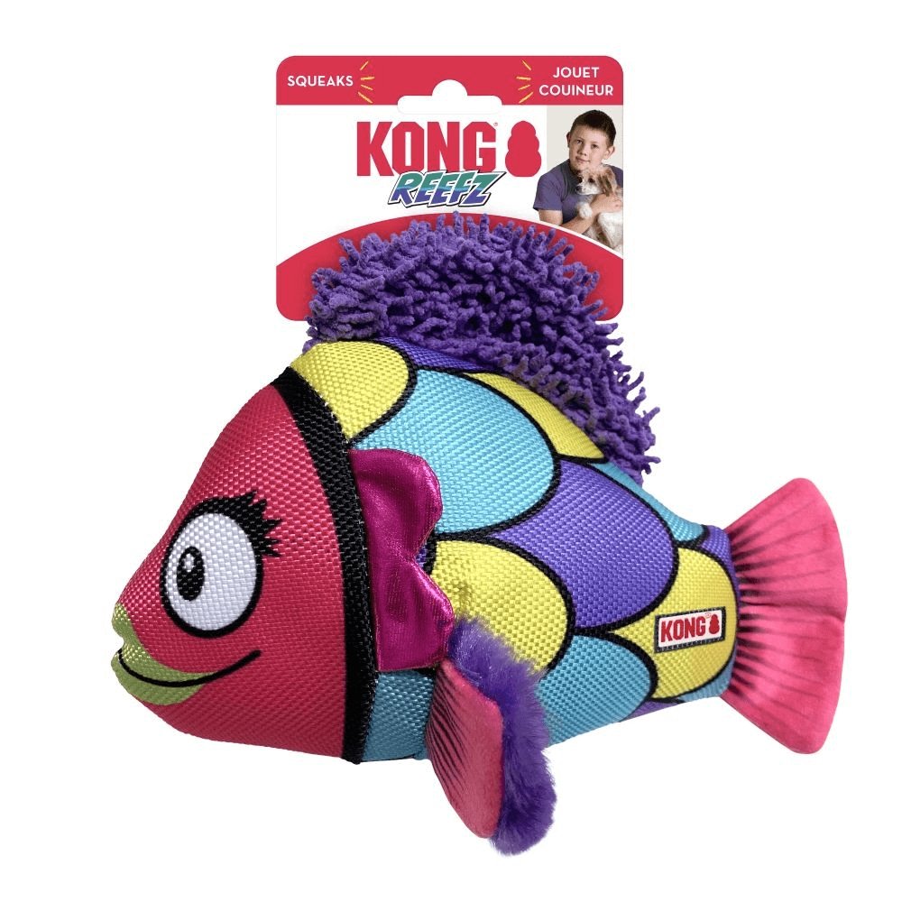 KONG Reefz Assorted Dog Toy