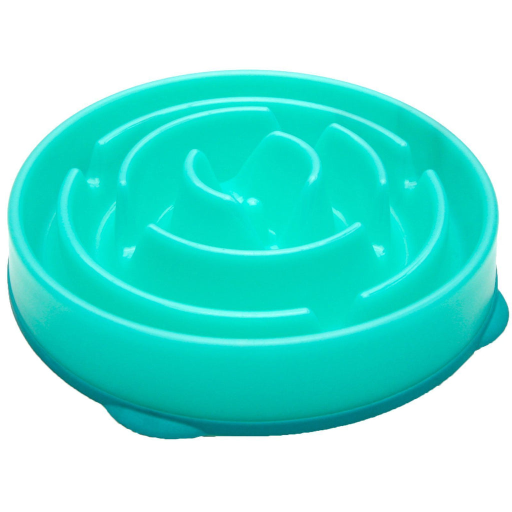 Outward Hound Fun Feeder Slow Bowl - Teal