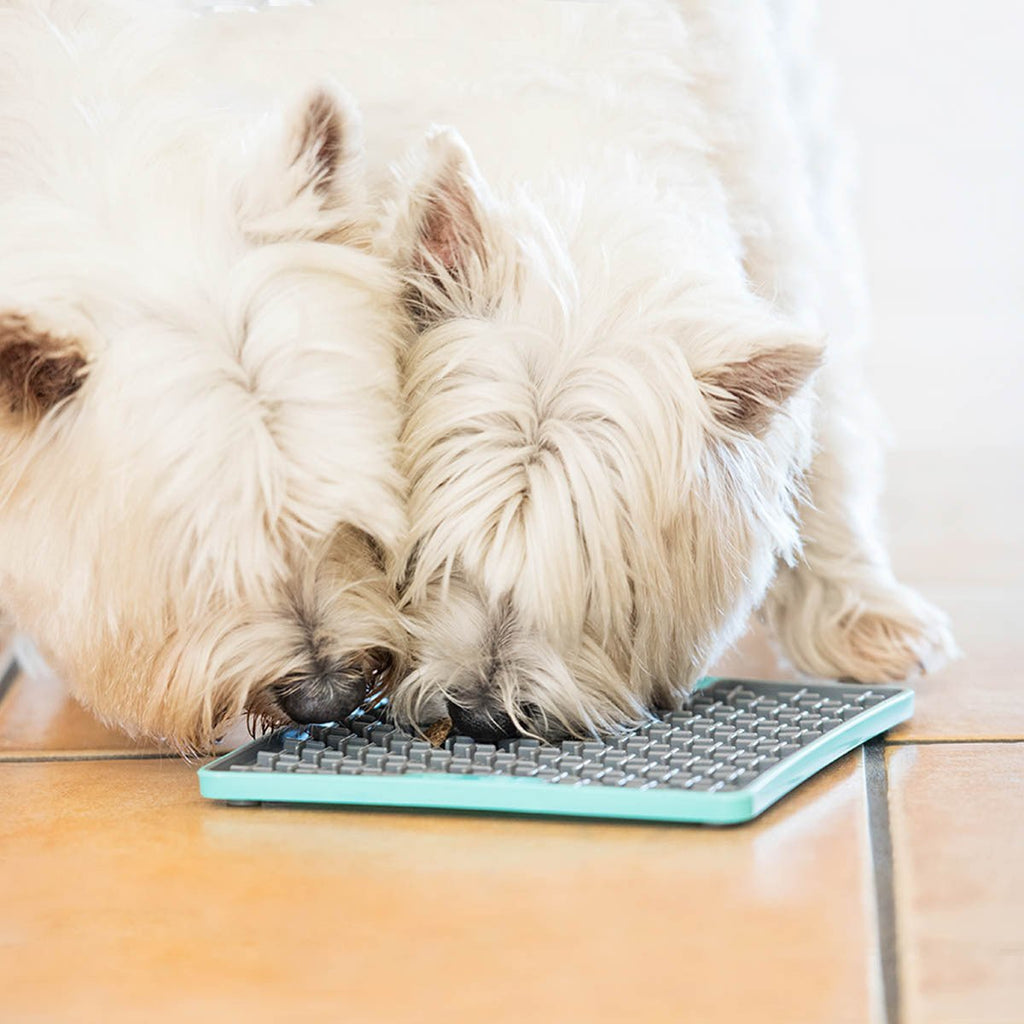 LickiMat Buddy Tuff Slow Food Bowl Anti Anxiety Licking Mat for Dogs - Blue