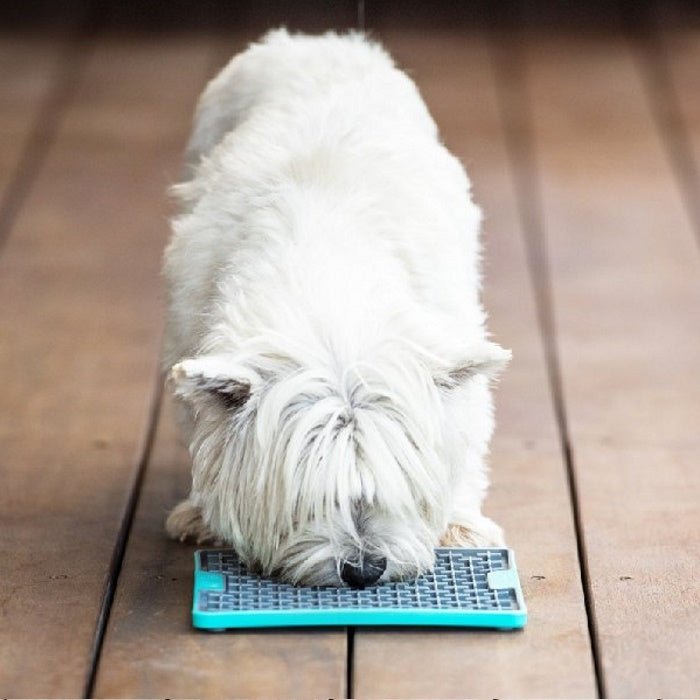 LickiMat Buddy Tuff Slow Food Bowl Anti Anxiety Licking Mat for Dogs - Blue