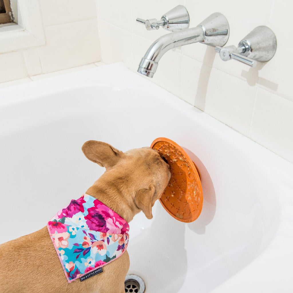 LickiMat Splash Wall & Floor Suction Slow Feeder Dog Bowl - Blue