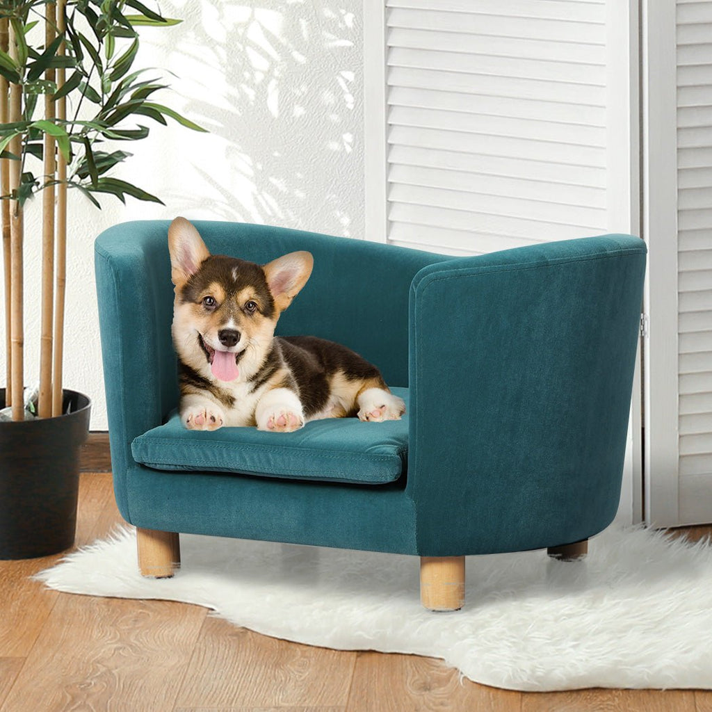 PaWz Soft Pet Lounge with Removable Cushion Chair Seat - Blue