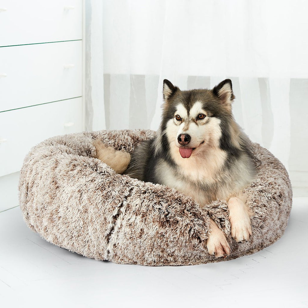 PaWz Replaceable Cover For Dog Calming Bed - Coffee - XXL