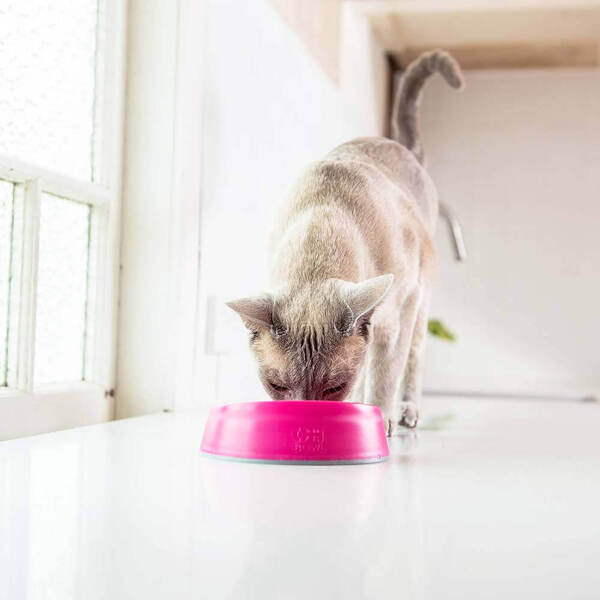 Lickimat Oh Bowl Slow Hairball Control Cat Food Bowl