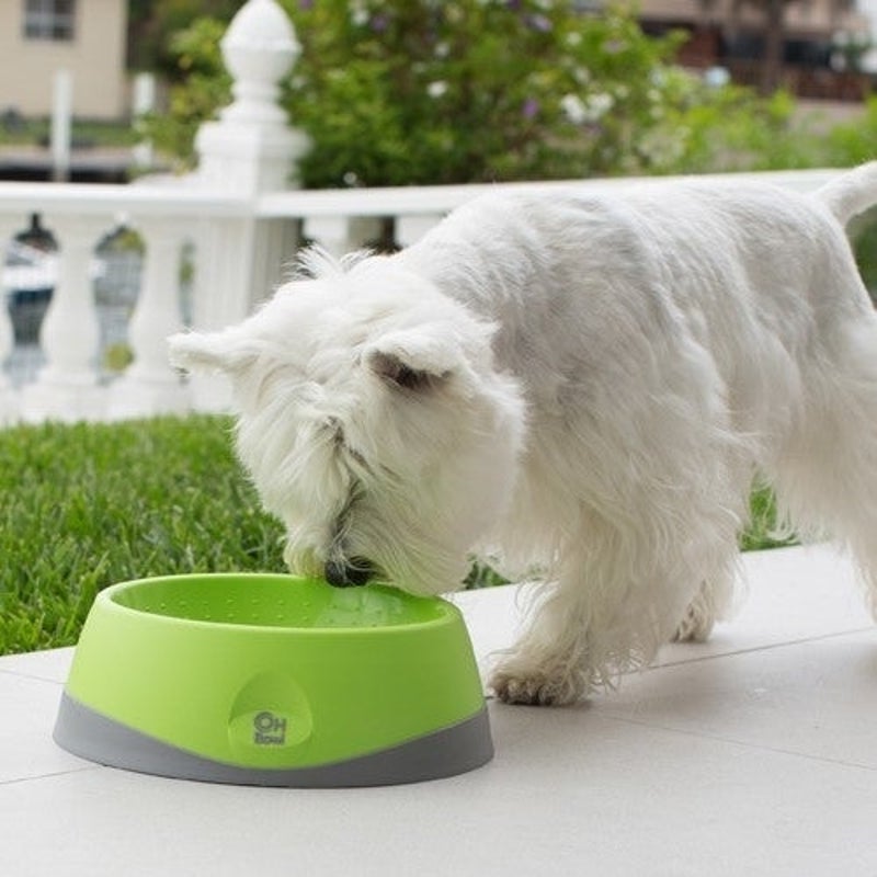 Oh Bowl Slow Food Tongue Cleaning Dog Food Bowl - Green - Small