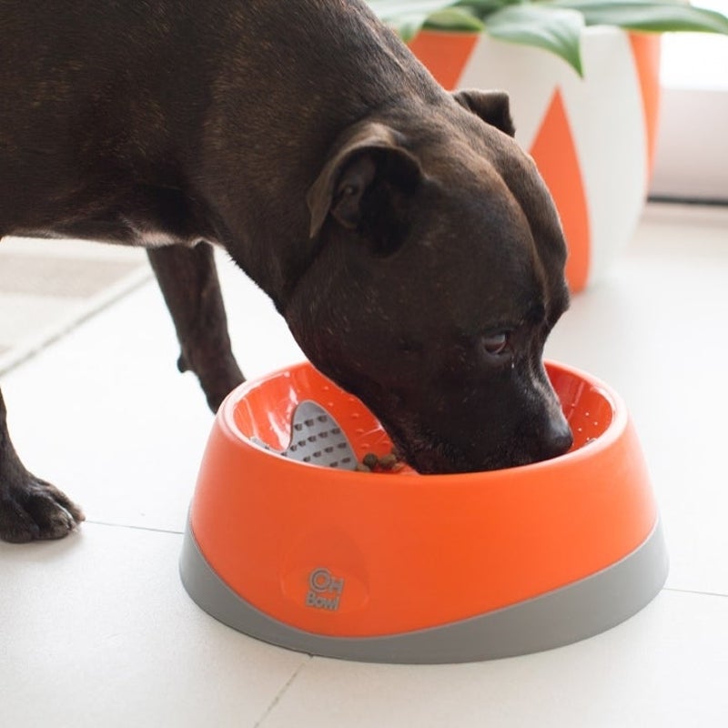 Oh Bowl Slow Food Tongue Cleaning Dog Food Bowl - Orange - Large