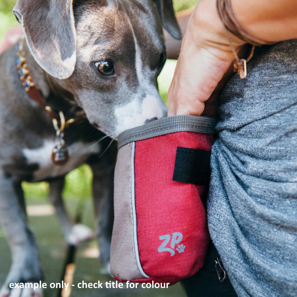 Zippy Paws Adventure Portable Dog Treat Bag - Graphite Grey