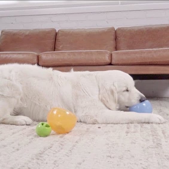 Planet Dog Orbee-Tuff Nook - Happiness