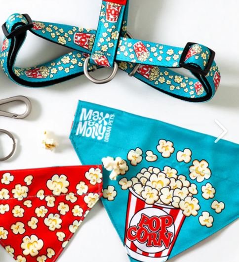 Max & Molly Dog Leash - Popcorn