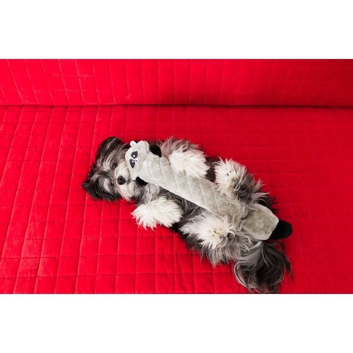 Zippy Paws Jigglerz Shakeable Dog Toy - Raccoon