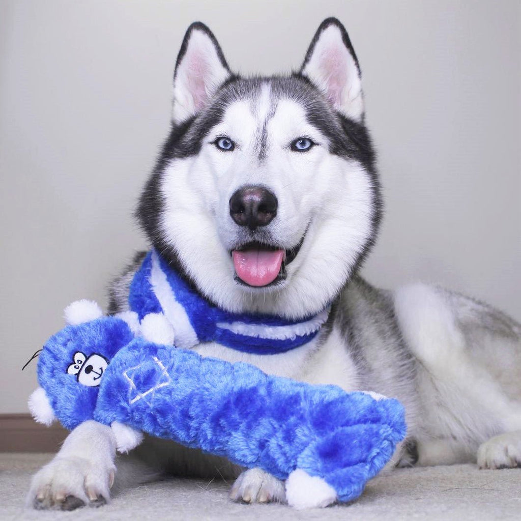Zippy Paws Plush Squeaker Dog Toy - Hanukkah Jigglerz - Blue Bear