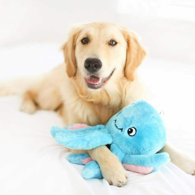 Zippy Paws Grunterz Plush Dog Toys - Oscar the Octopus