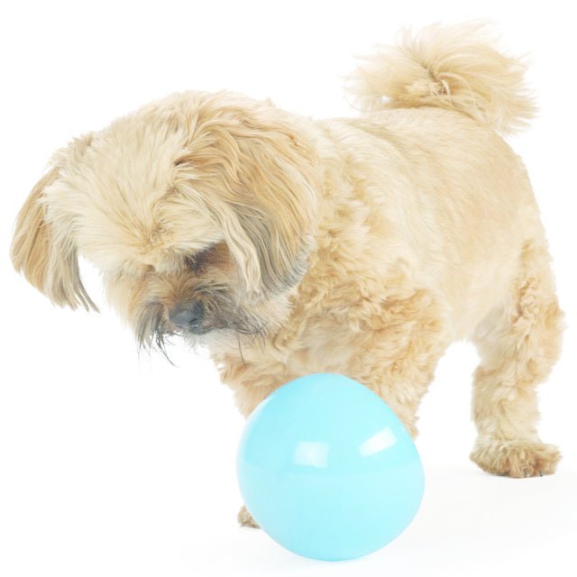 Planet Dog Snoop Interactive Dog Toy & Slow Feeder