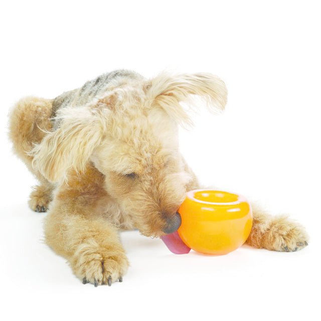 Planet Dog Snoop Interactive Dog Toy & Slow Feeder