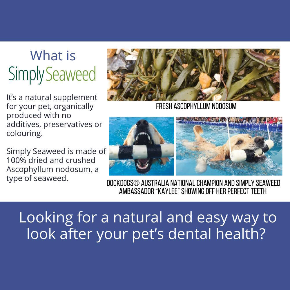 Simply Seaweed Natural Dental Health Care for Cats & Dogs