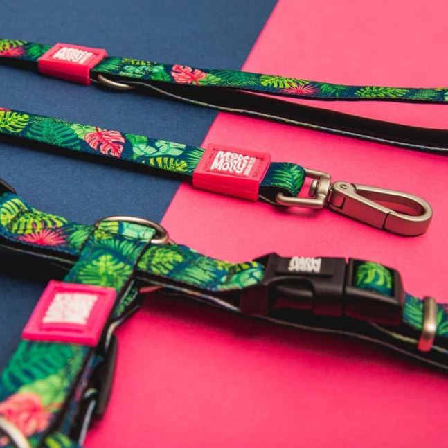 Max & Molly Dog Leash - Tropical