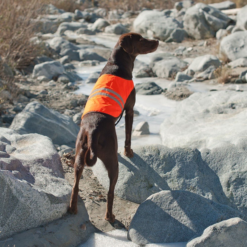 Zippy Paws Adventure Cooling and Outdoor Reflective Dog Safety & Cooling Vest