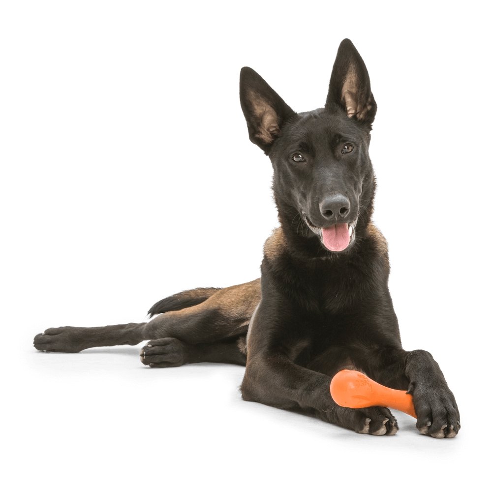 West Paw Hurley Fetch Tough Dog Toy