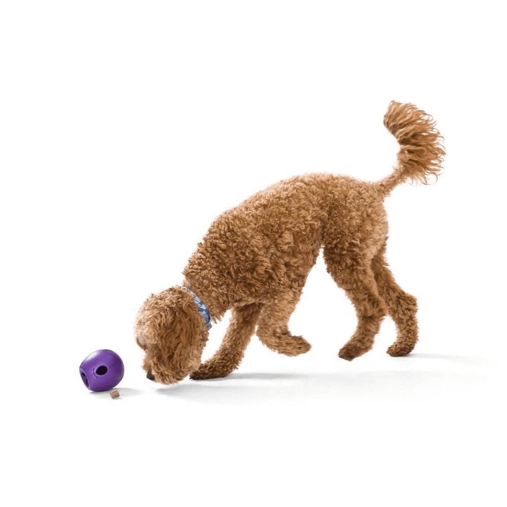 West Paw Rumbl Large Dog Toy